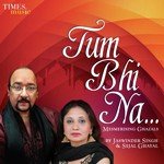 Tum Bhi Na - Ritesh Pandey Song Download